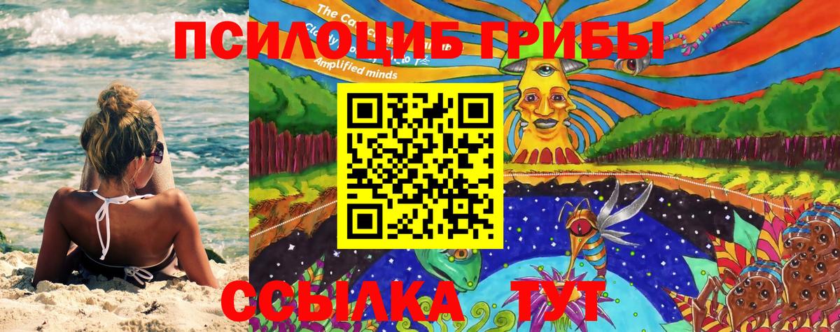 Галлюциногенные грибы Magic Shrooms Удомля