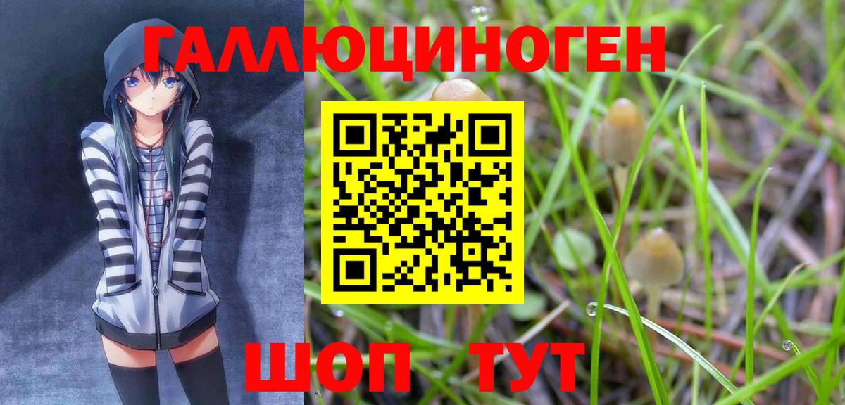 Галлюциногенные грибы мухоморы  Вход с VPN  Удомля 